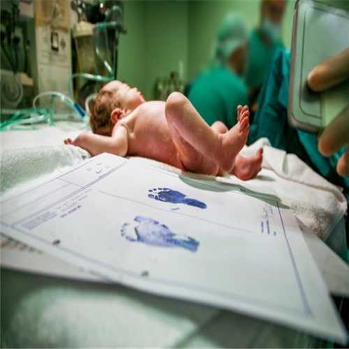 试管婴儿囊胚移植比普通胚胎移植成功率高吗？有什